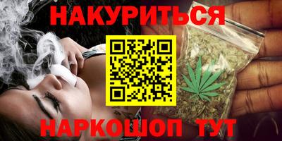 сатива Ставрополь