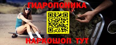 сатива Ставрополь