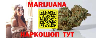 сатива Ставрополь
