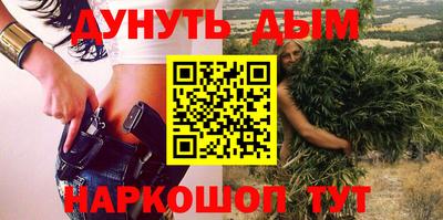 сатива Ставрополь