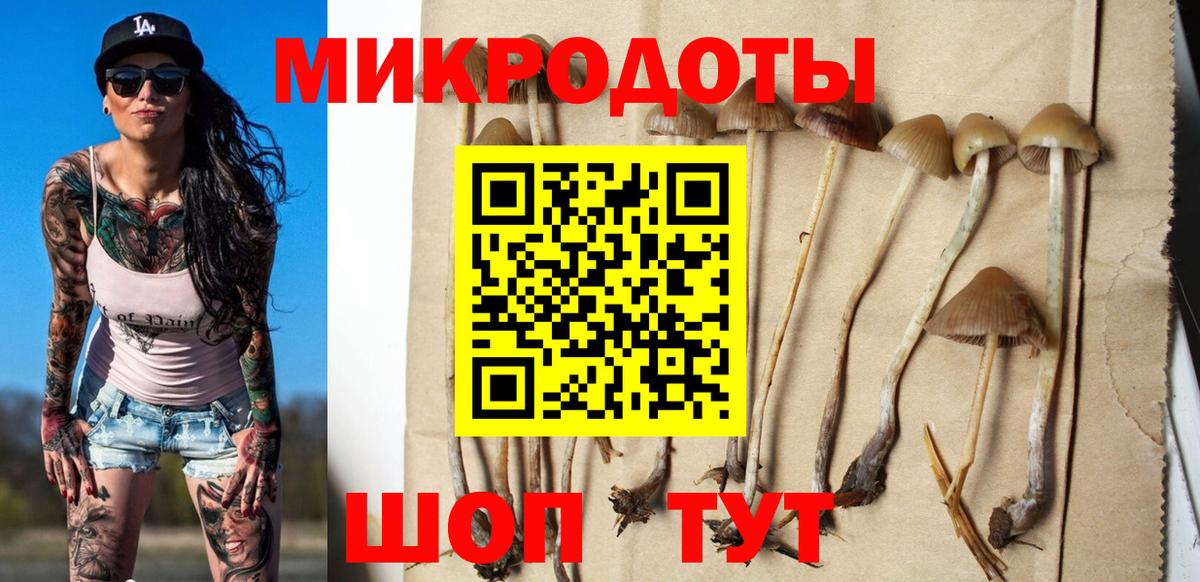 Галлюциногенные грибы Magic Shrooms  Вход с VPN  купить   Павлово 