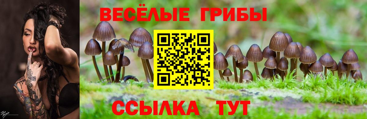 Псилоцибиновые грибы прущие грибы Павлово